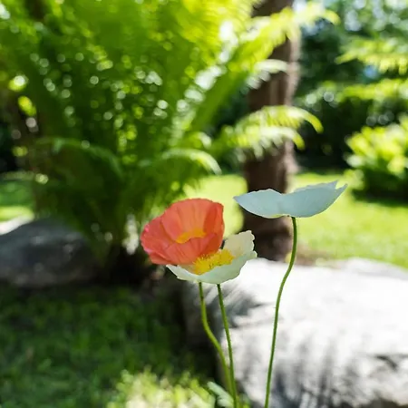 Flow Winkel Atelier Apartment Merano