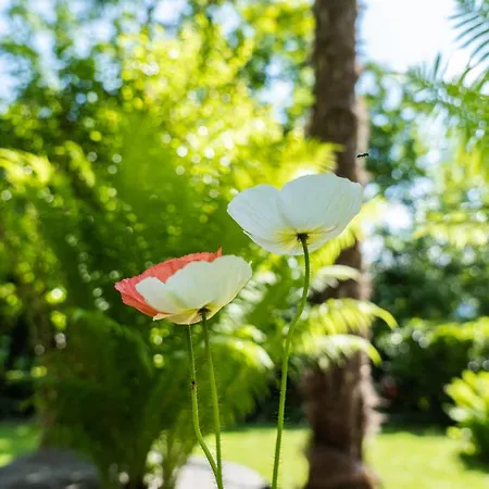 Lejlighed Flow Winkel Atelier Merano