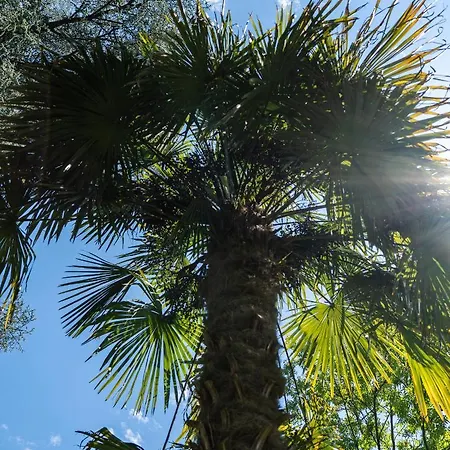 Flow Winkel Atelier Appartamento *