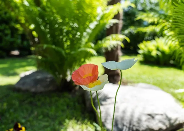 Flow Winkel Atelier Apartment Merano