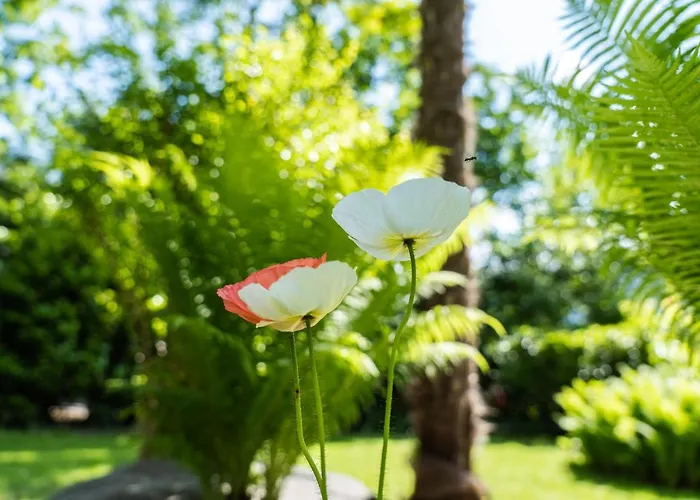 Apartamento Flow Winkel Atelier Merano