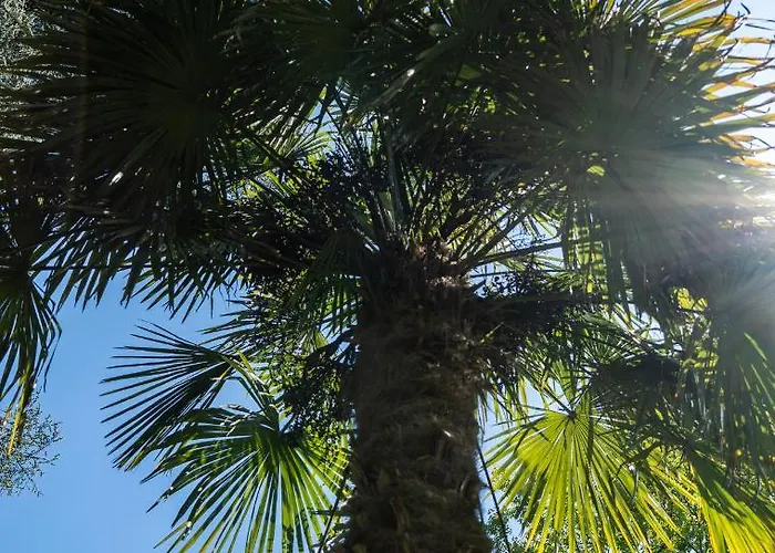 Flow Winkel Atelier Lejlighed *